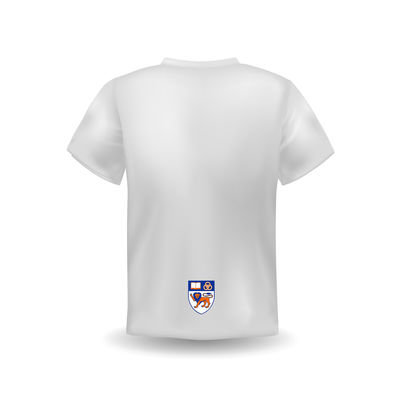 OEM Customized Logo Printing Quick Dry and Breathable University T-Shirt